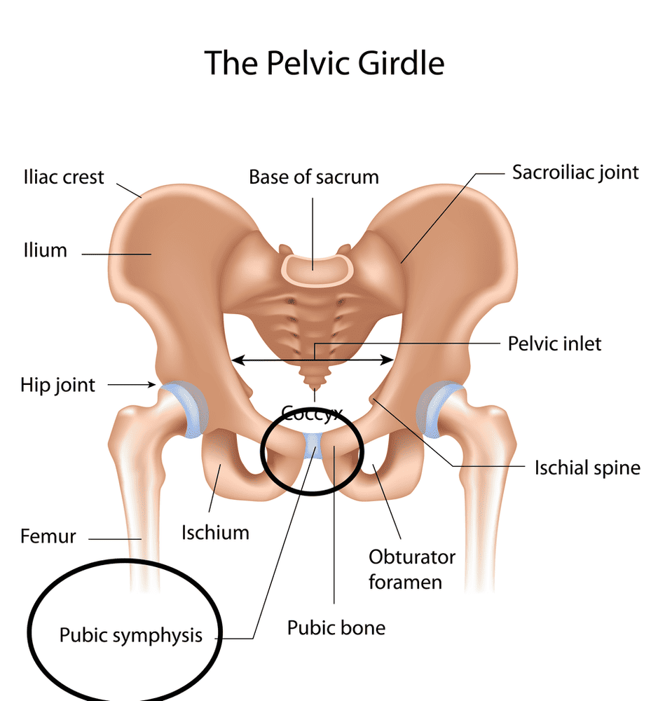Pelvic Girdle Pain (Pelvic Pain); What is it? And how can you